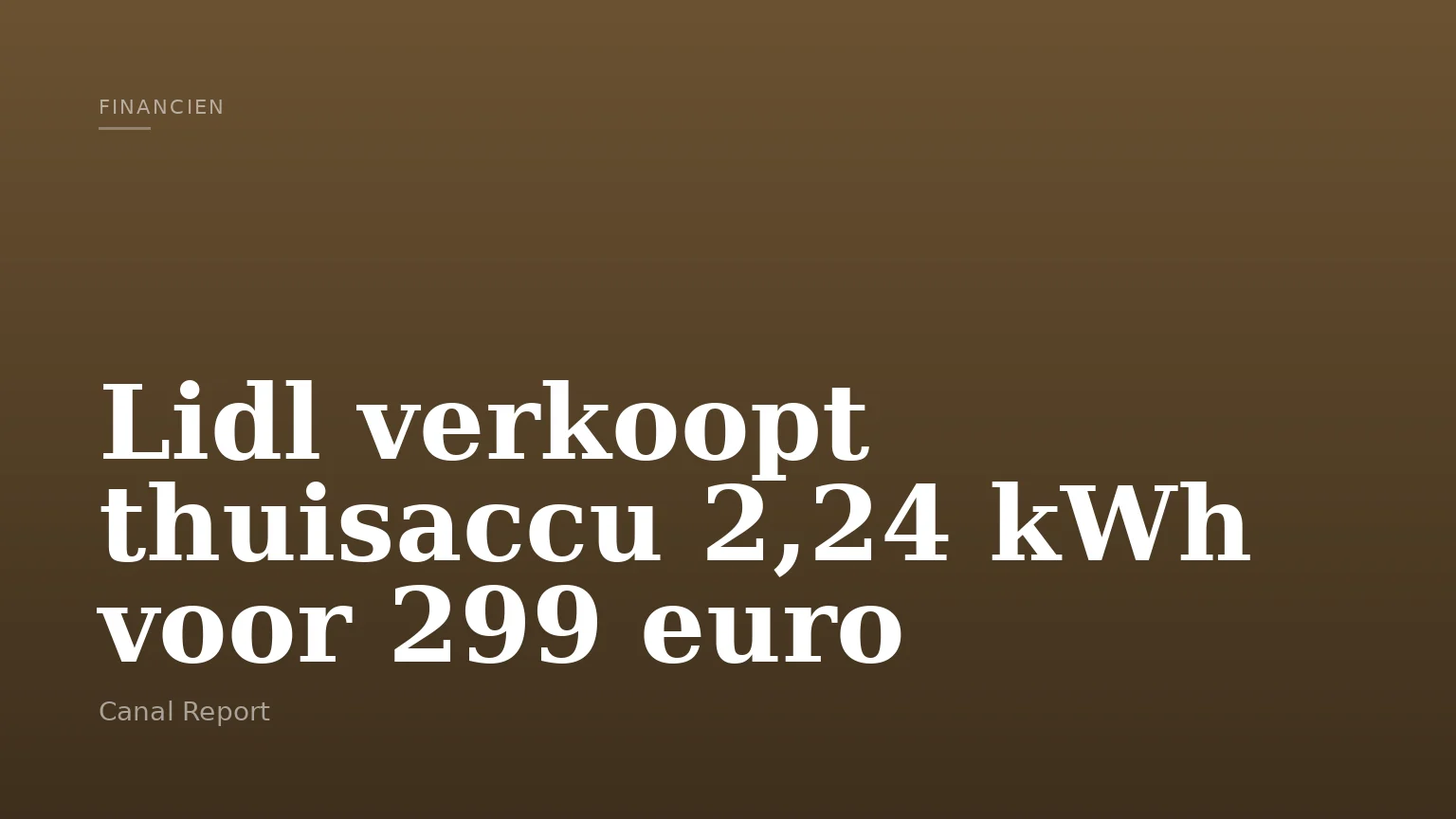 Lidl verkoopt thuisaccu 2,24 kWh voor 299 euro