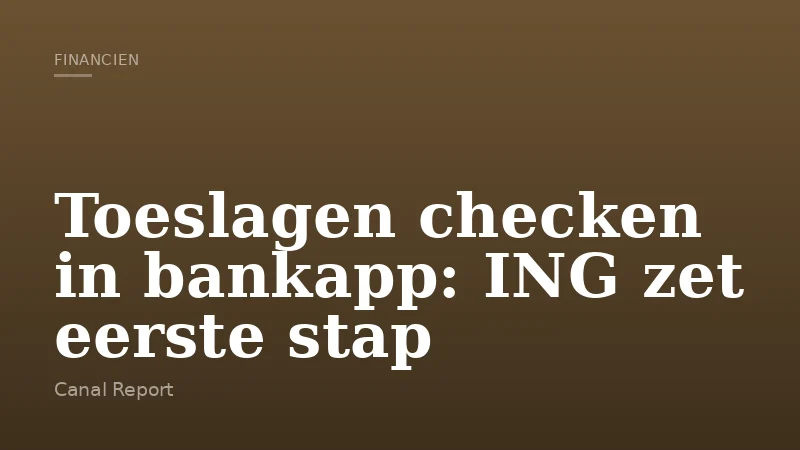 Toeslagen checken in bankapp: ING zet eerste stap