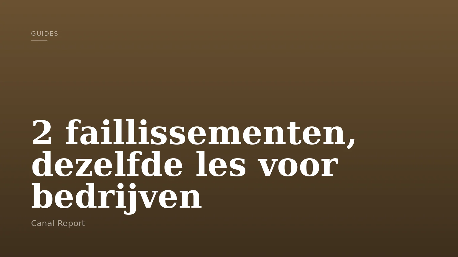 2 faillissementen, dezelfde les voor bedrijven