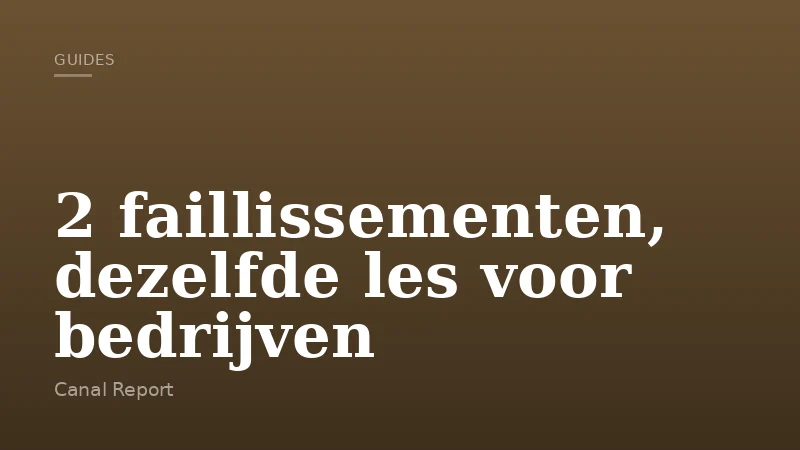 2 faillissementen, dezelfde les voor bedrijven