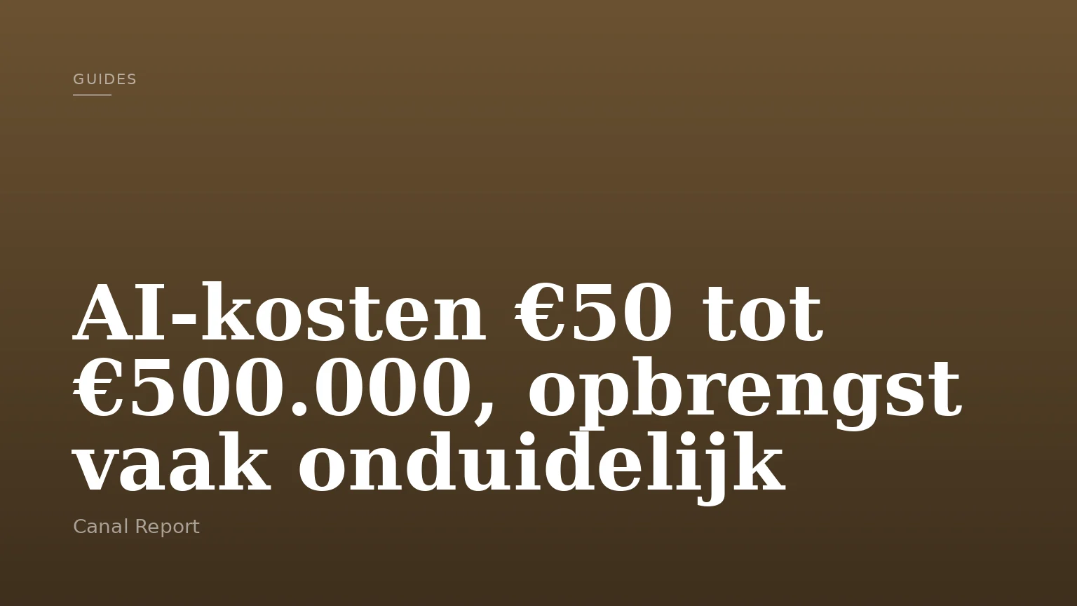 AI-kosten €50 tot €500.000, opbrengst vaak onduidelijk