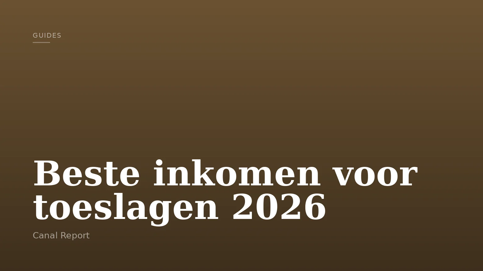 Beste inkomen voor toeslagen 2026