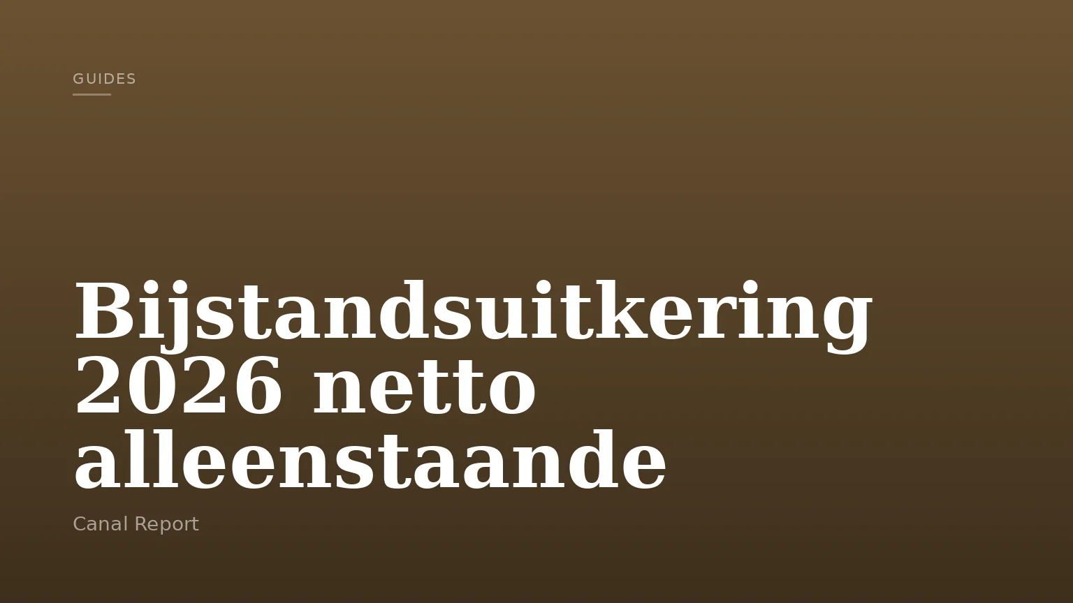 Bijstandsuitkering 2026 netto alleenstaande