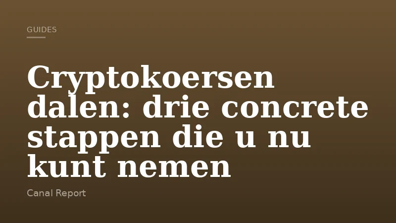 Cryptokoersen dalen: drie concrete stappen die u nu kunt nemen
