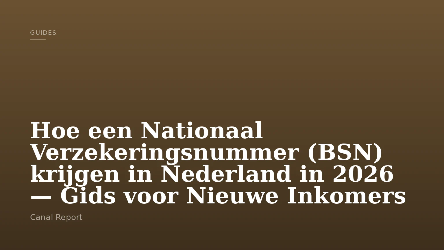 Hoe een Nationaal Verzekeringsnummer (BSN) krijgen in Nederland in 2026 — Gids voor Nieuwe Inkomers