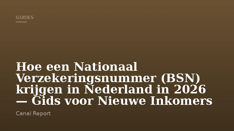 Hoe een Nationaal Verzekeringsnummer (BSN) krijgen in Nederland in 2026 — Gids voor Nieuwe Inkomers