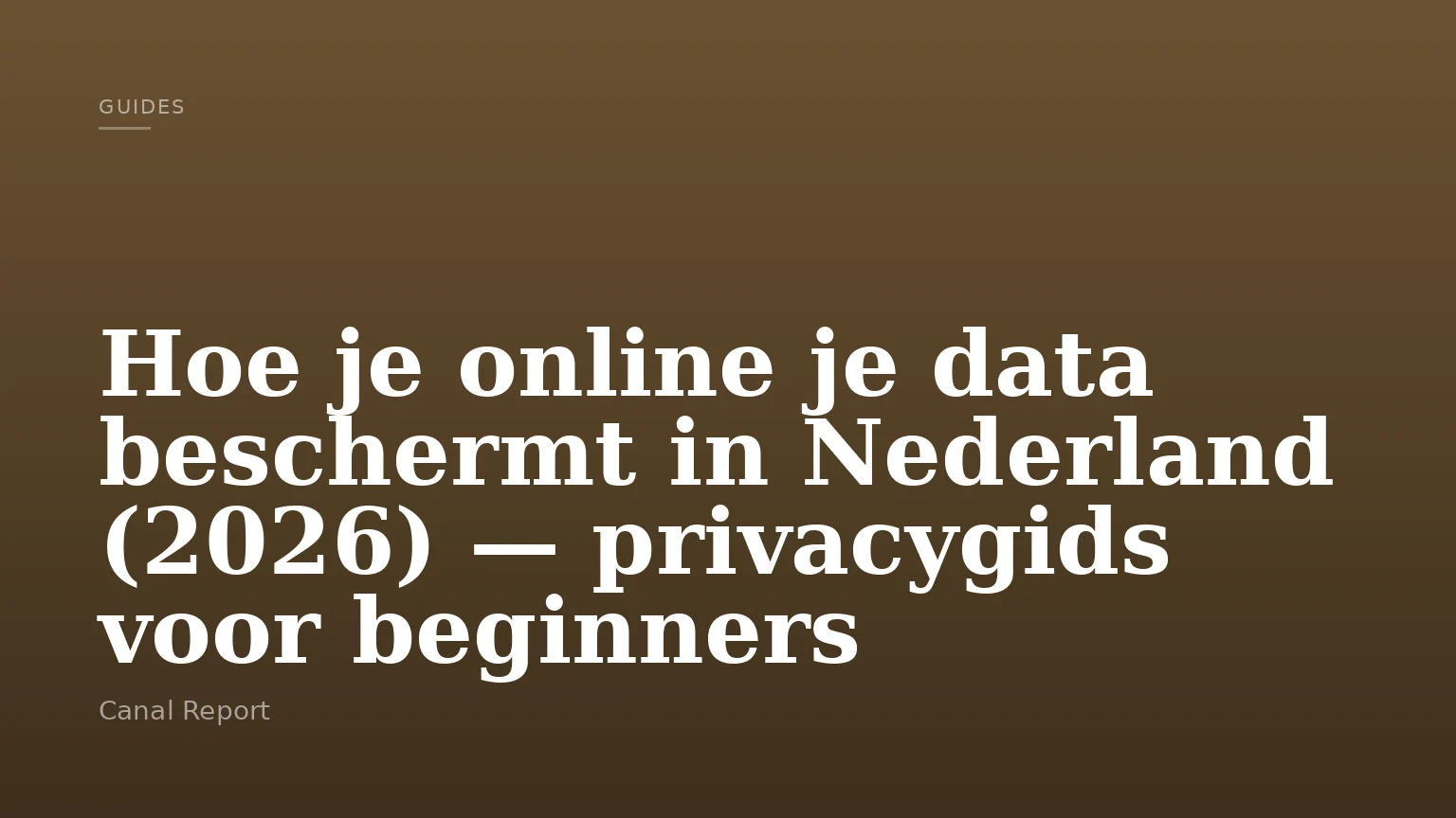 Hoe je online je data beschermt in Nederland (2026) — privacygids voor beginners