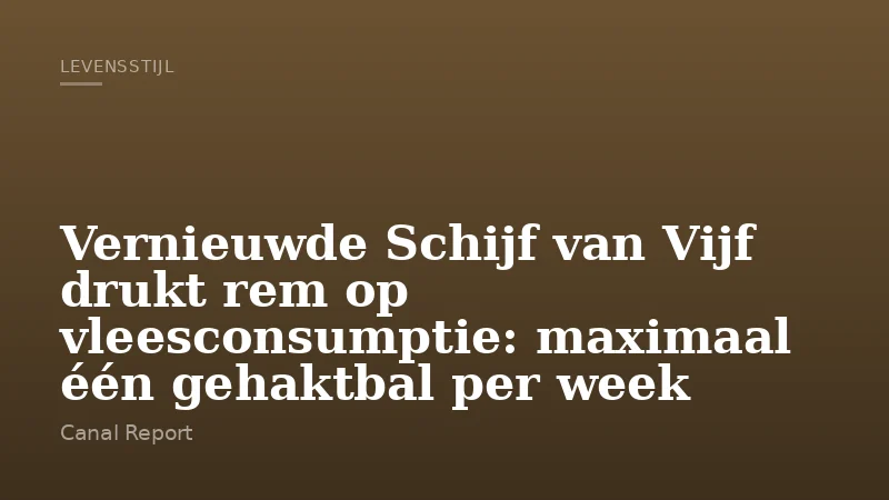 Vernieuwde Schijf van Vijf drukt rem op vleesconsumptie: maximaal één gehaktbal per week