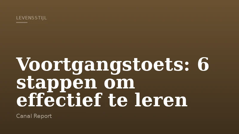 Voortgangstoets: 6 stappen om effectief te leren