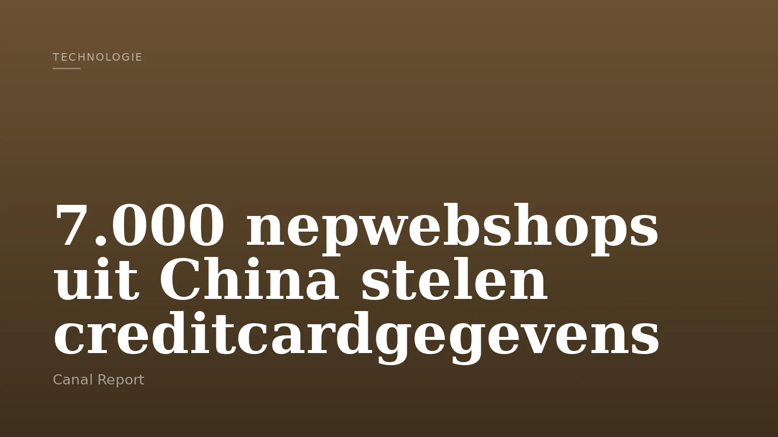 7.000 nepwebshops uit China stelen creditcardgegevens