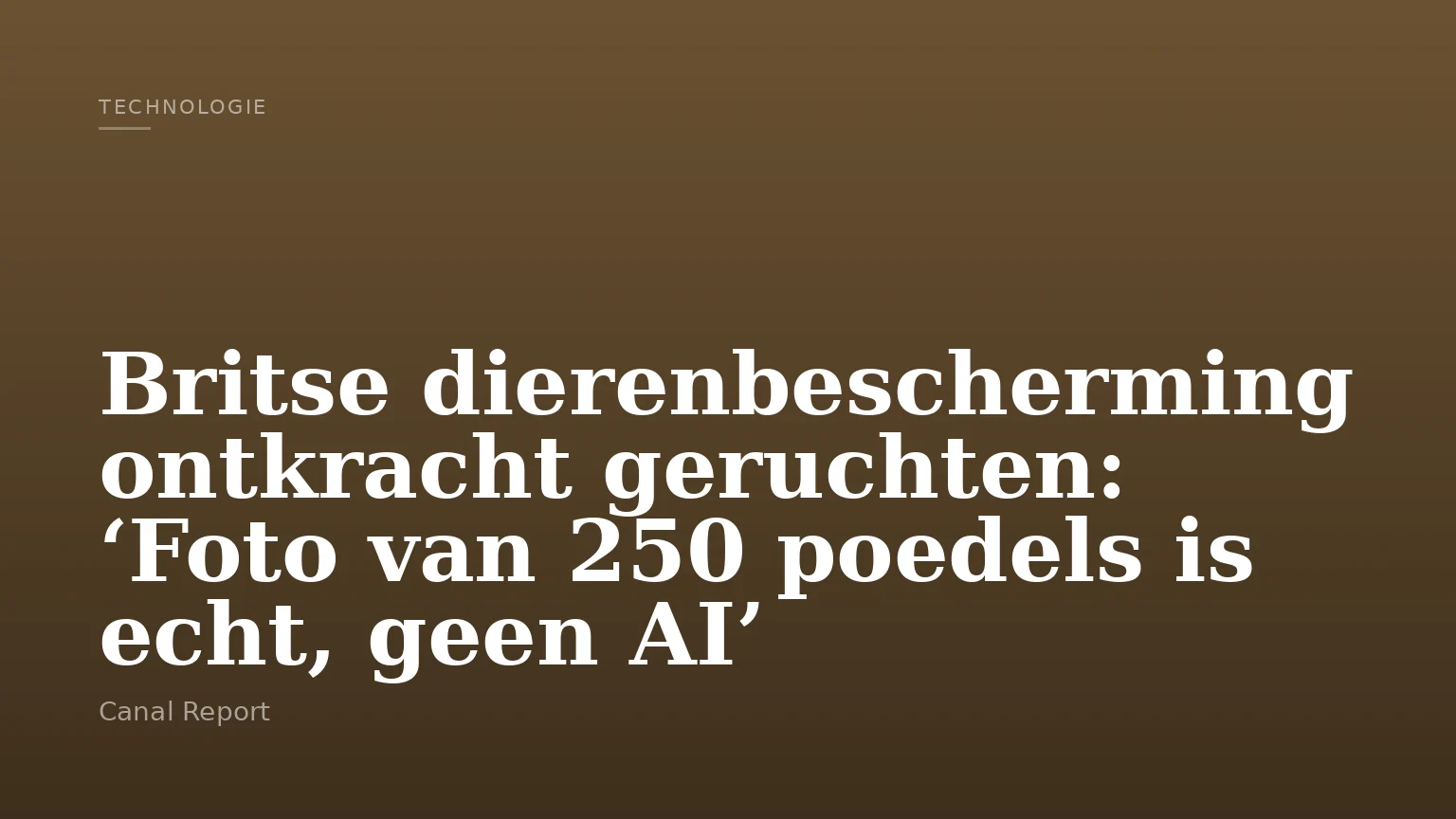 Britse dierenbescherming ontkracht geruchten: ‘Foto van 250 poedels is echt, geen AI’