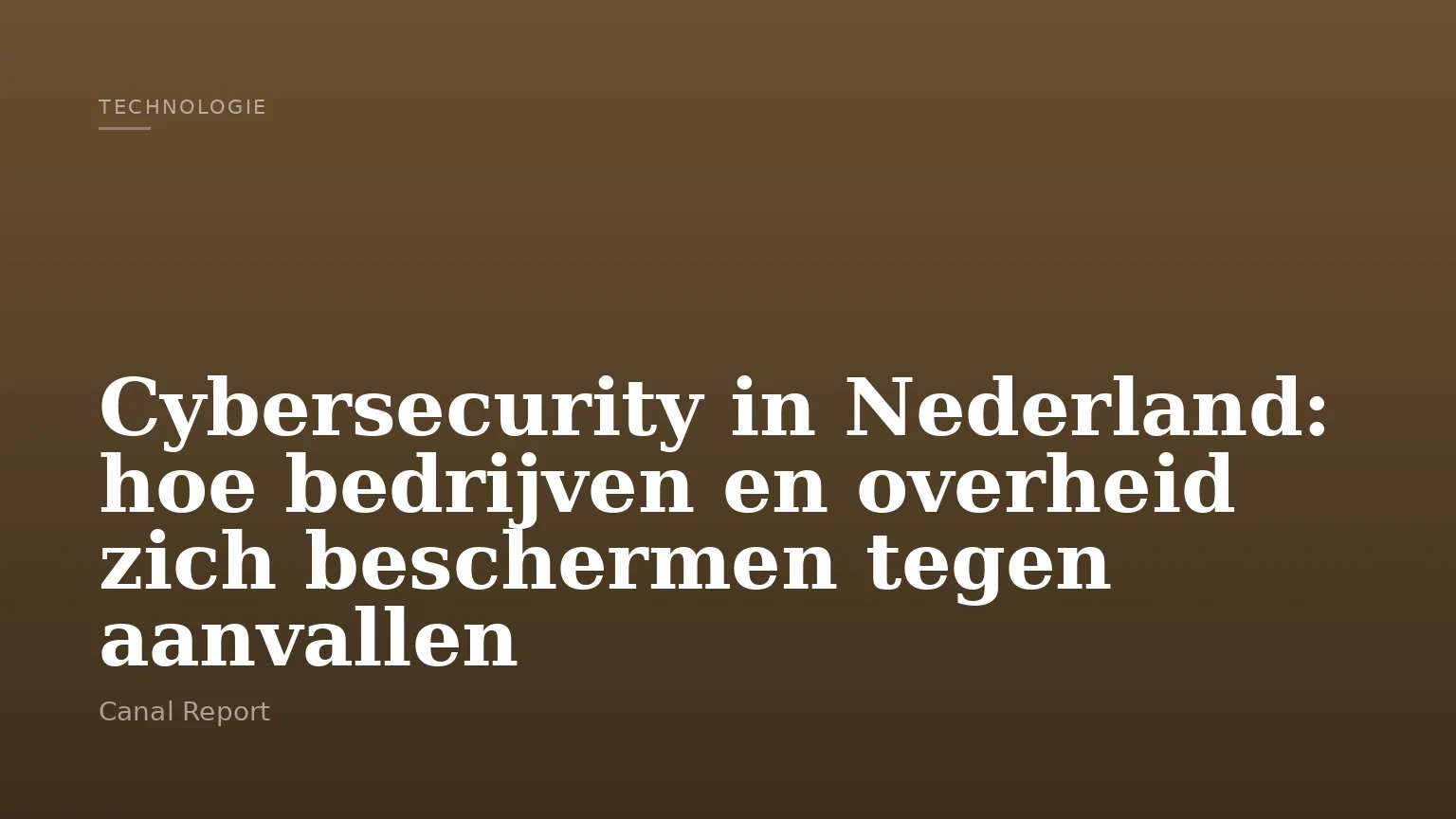 Cybersecurity in Nederland: hoe bedrijven en overheid zich beschermen tegen aanvallen
