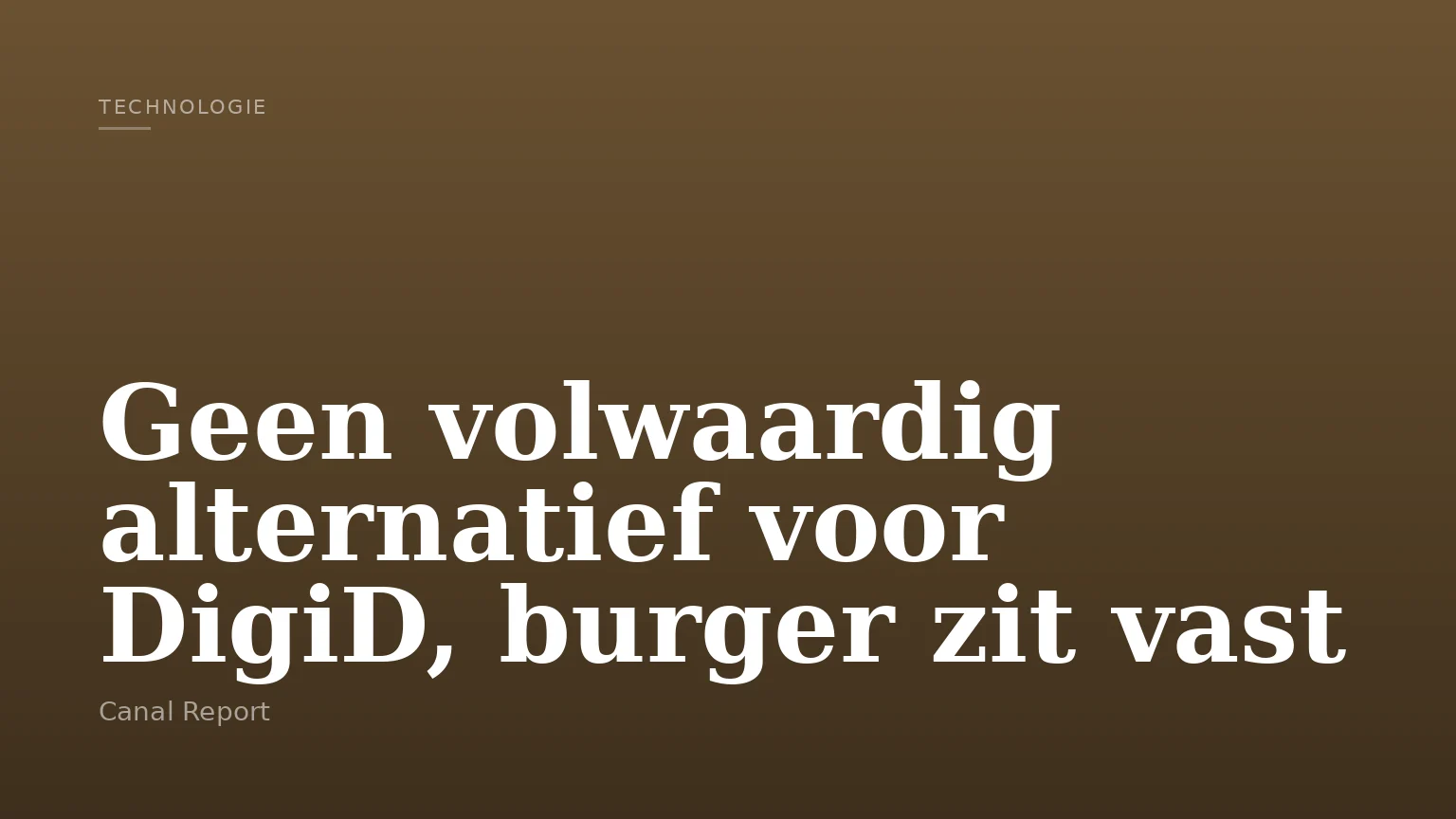 Geen volwaardig alternatief voor DigiD, burger zit vast