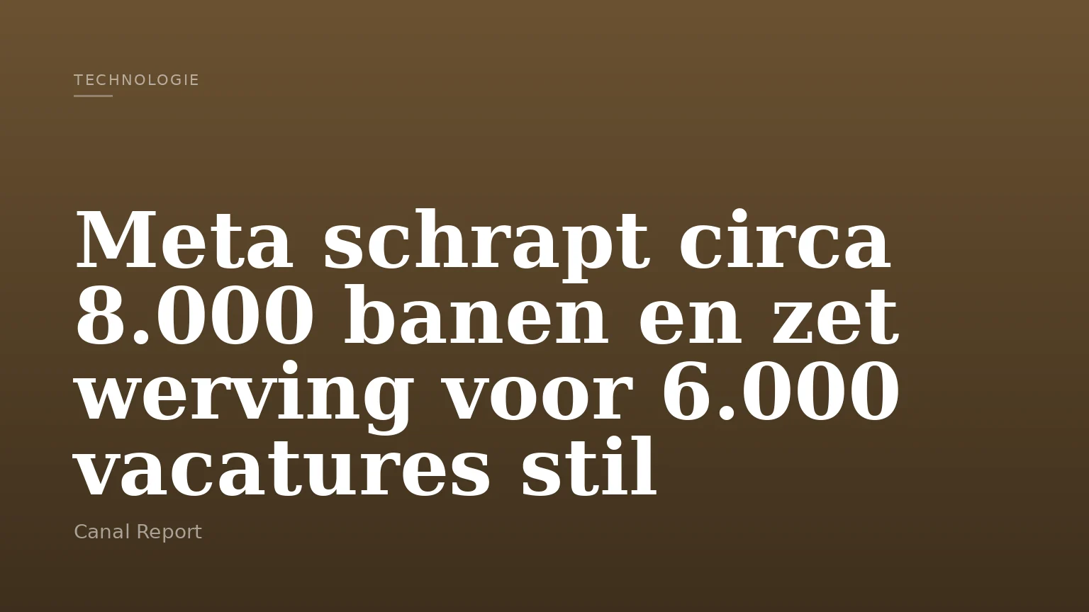 Meta schrapt circa 8.000 banen en zet werving voor 6.000 vacatures stil