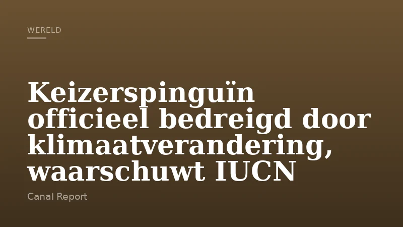 Keizerspinguïn officieel bedreigd door klimaatverandering, waarschuwt IUCN