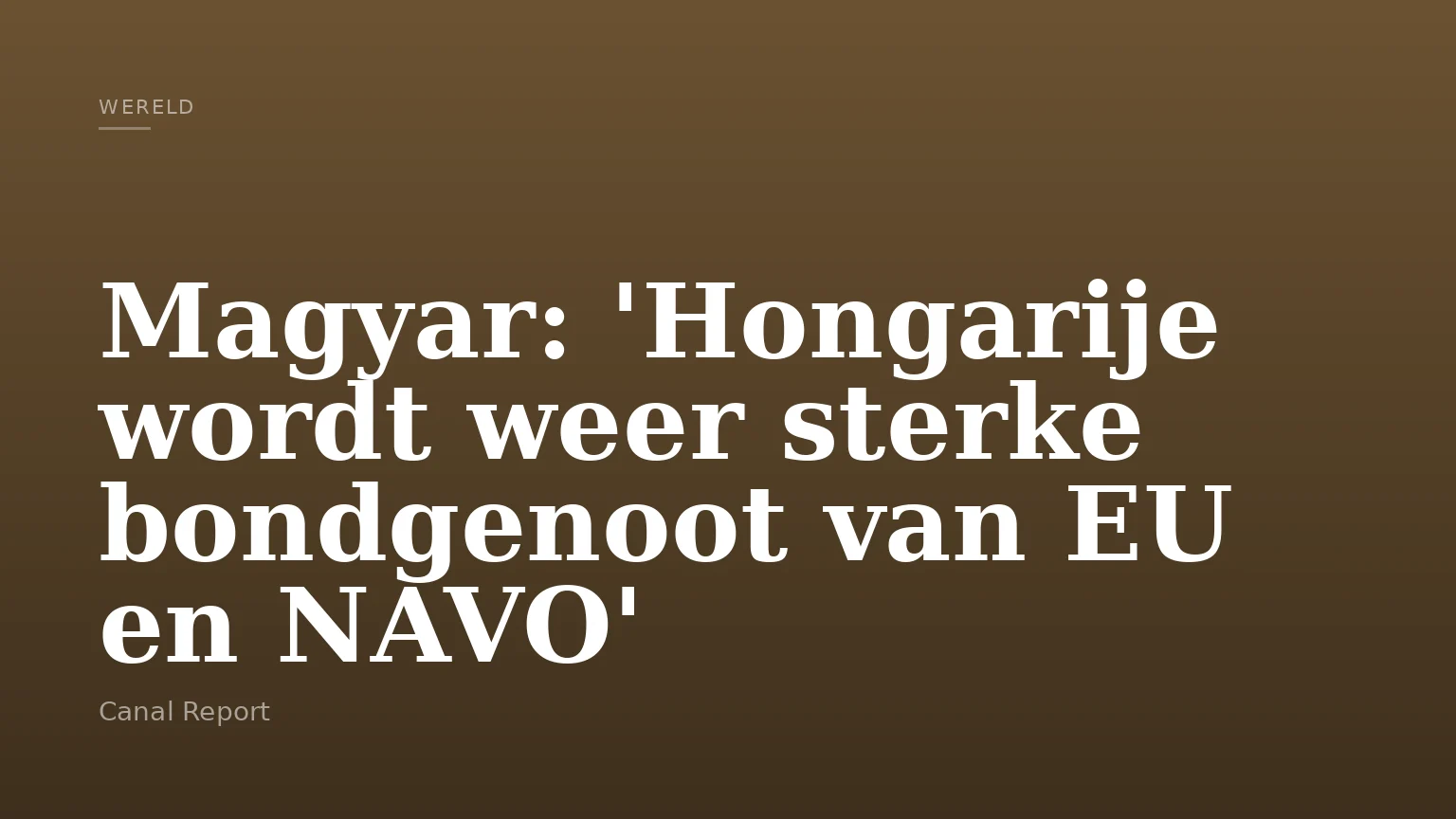 Magyar: 'Hongarije wordt weer sterke bondgenoot van EU en NAVO'