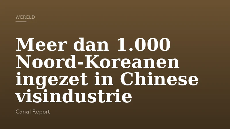 Meer dan 1.000 Noord-Koreanen ingezet in Chinese visindustrie