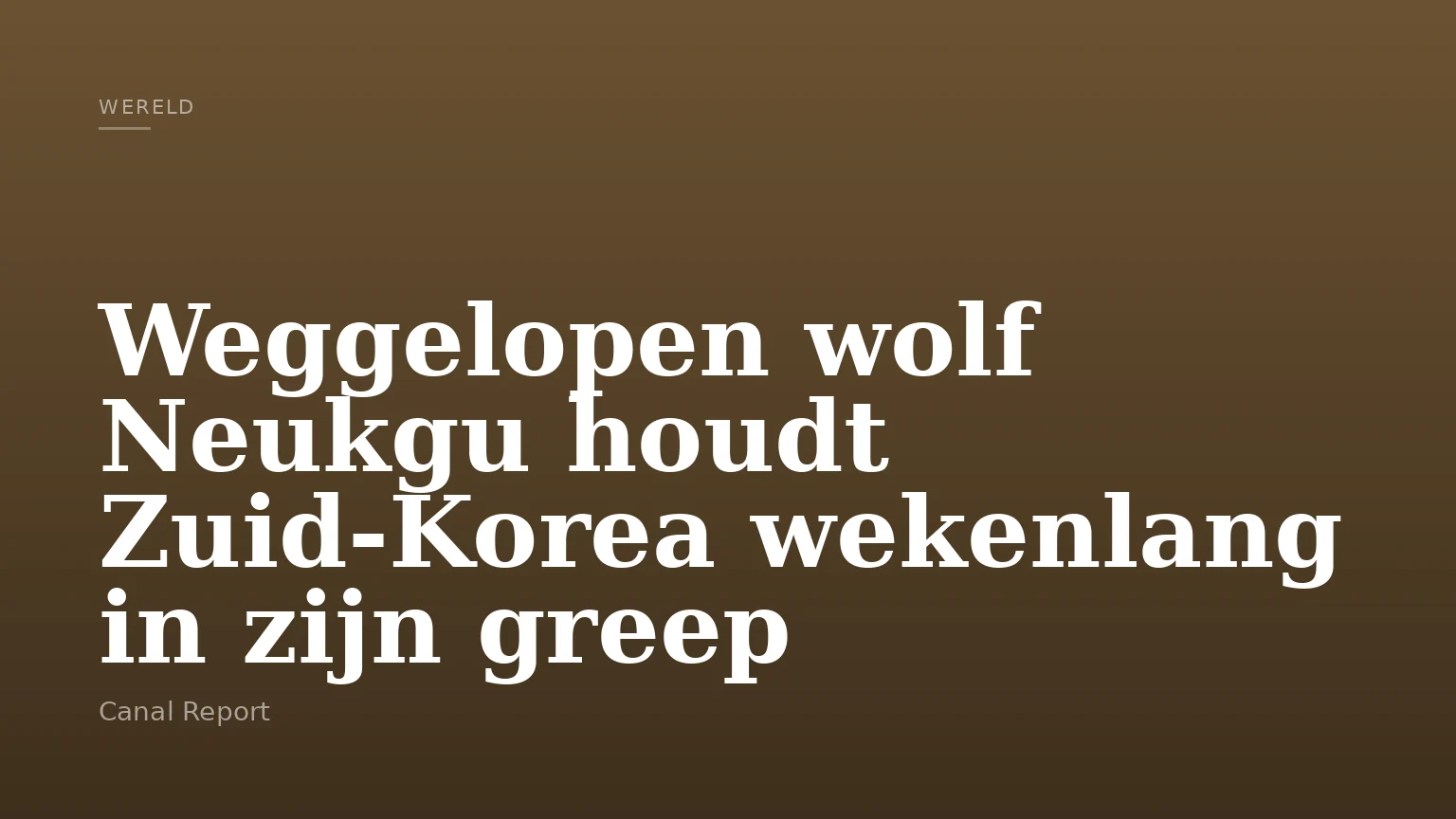 Weggelopen wolf Neukgu houdt Zuid-Korea wekenlang in zijn greep