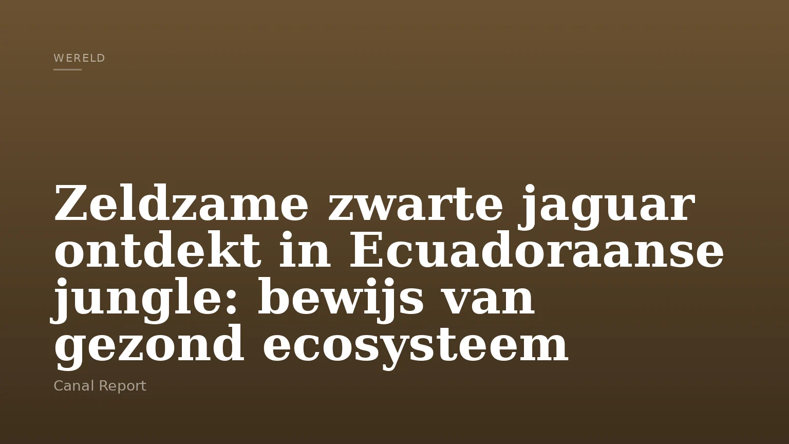 Zeldzame zwarte jaguar ontdekt in Ecuadoraanse jungle: bewijs van gezond ecosysteem